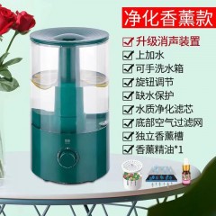 家用静音大容量加湿器卧室办公室空调空气净化小型迷你香薰机