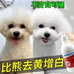 沐浴露比熊白毛狗狗专用去污美白去黄去泪痕杀菌除臭驱虫宠物香波