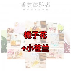 香薰家用室内卧室厕所空气房间除臭卫生间熏香持久香水香氛清新剂
