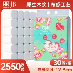 丽邦卫生纸批发家用卷纸巾木浆厕纸妇婴纸手纸无芯卷筒纸大卷纸