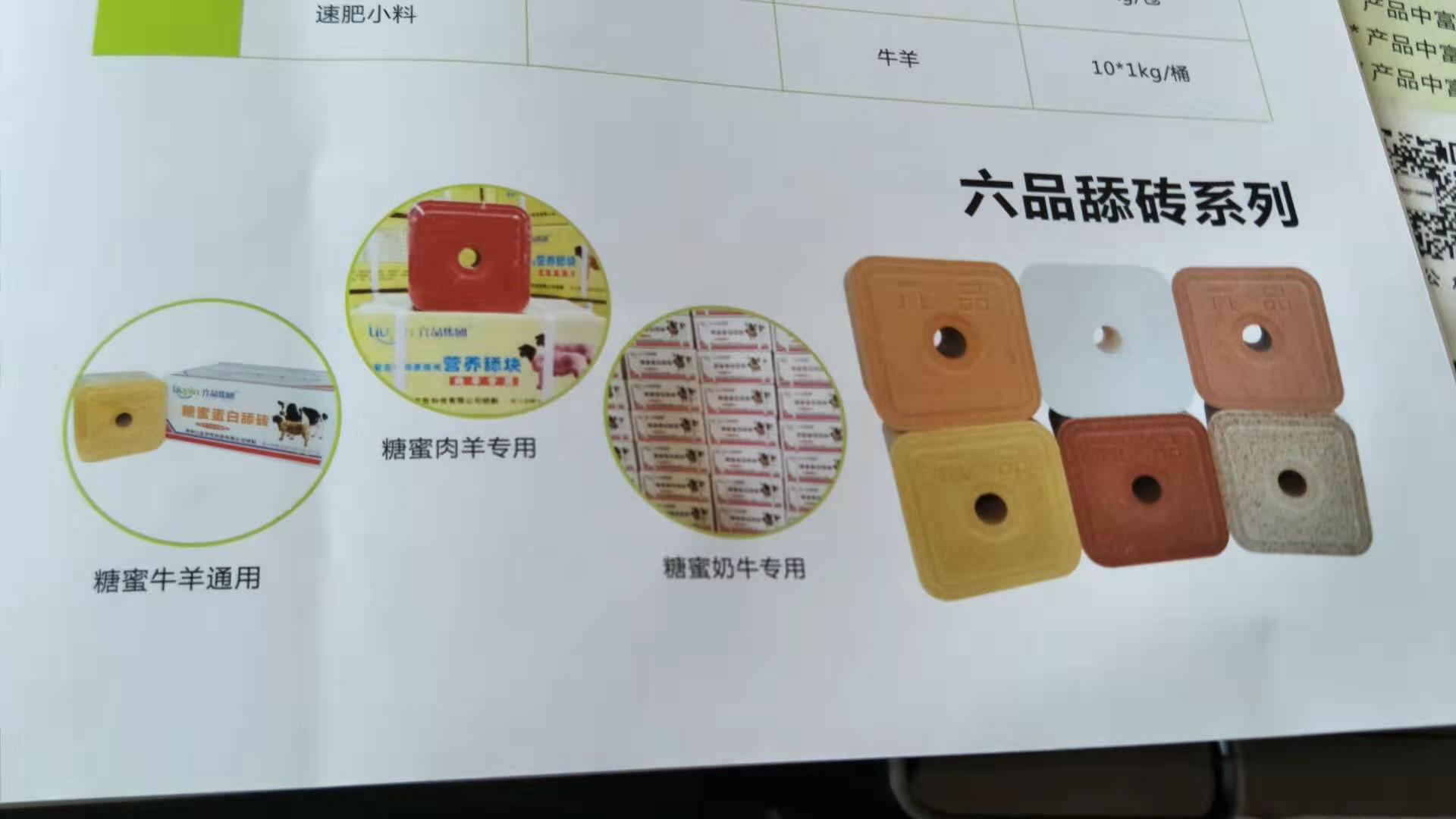舔砖.jpg